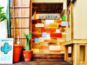 全室個室のゲストハウス オプンティア Guesthouse Opuntia